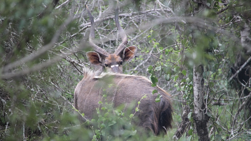 IMG_3026 (800x450).jpg