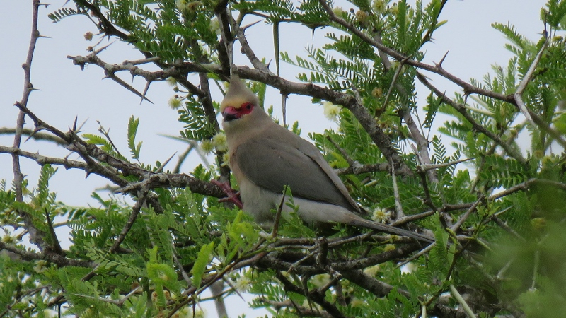 IMG_1679 (800x450).jpg