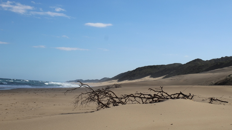 IMG_3088 (800x450).jpg