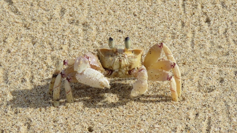 IMG_1821 (800x450).jpg