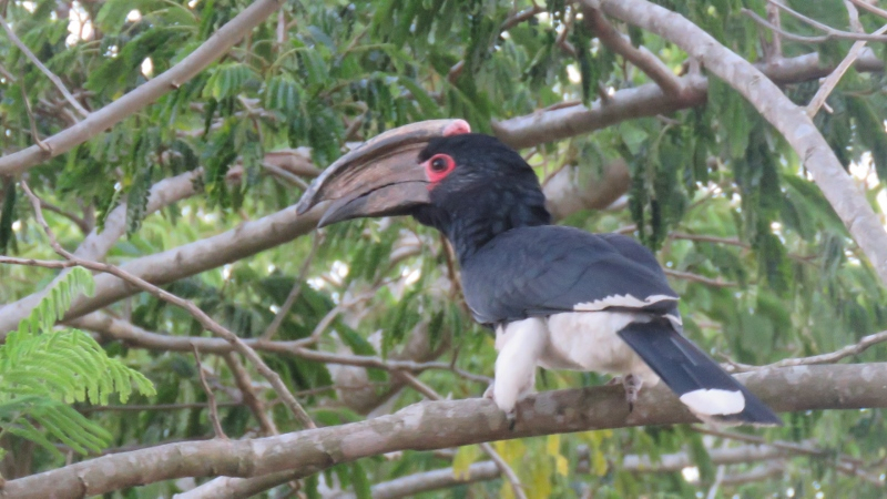 IMG_1859 (800x450).jpg