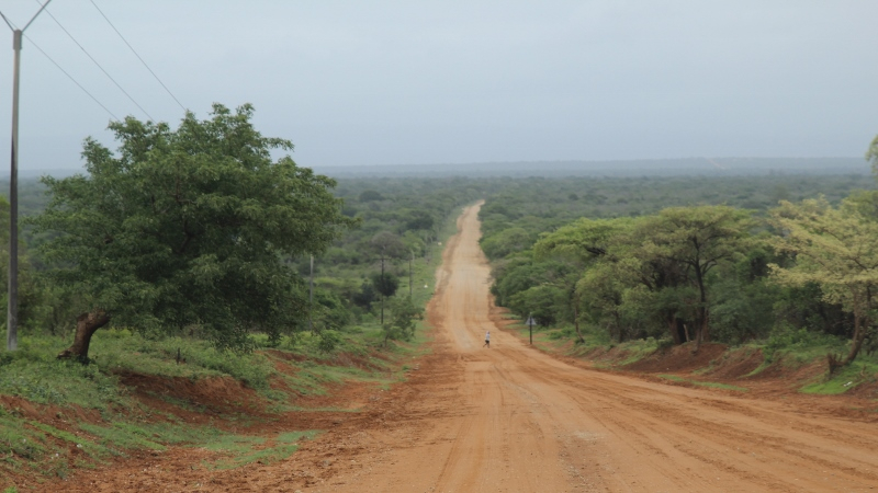 IMG_3103 (800x450).jpg