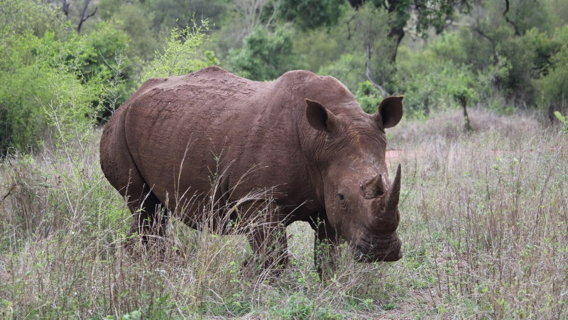 IMG_3149 (800x451).jpg