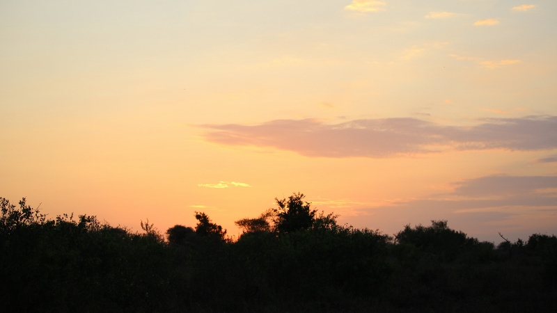 IMG_3174 (800x450).jpg