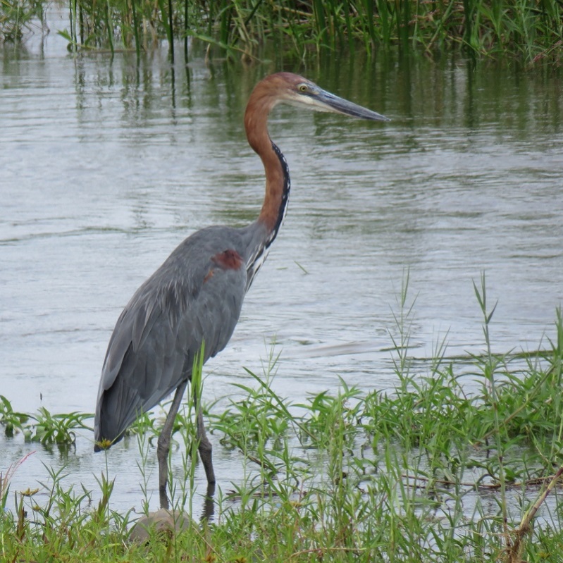 IMG_2244 (800x800).jpg