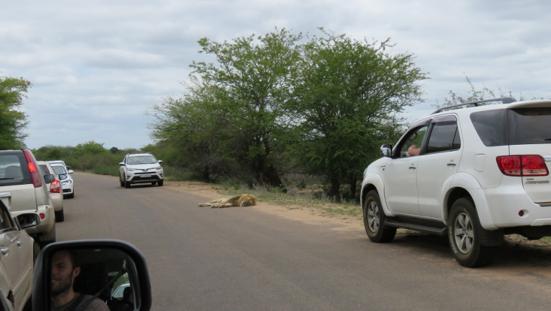 IMG_2274 (800x451).jpg