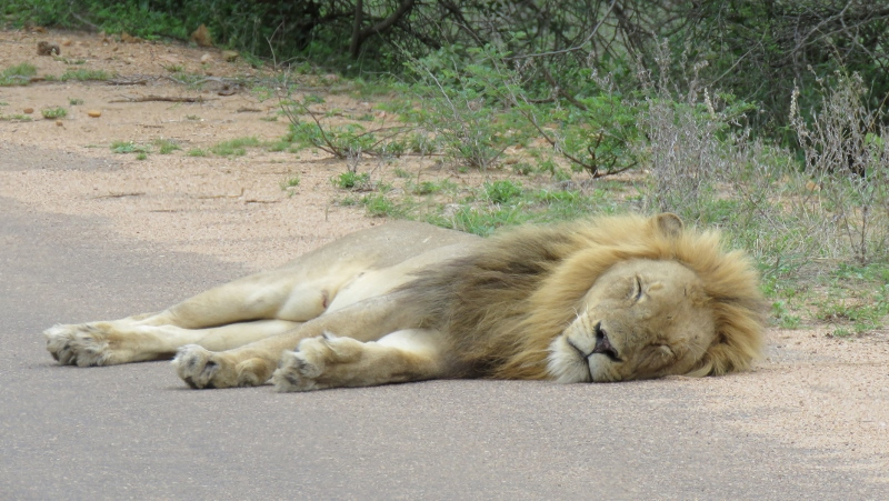 IMG_2269 (800x451).jpg