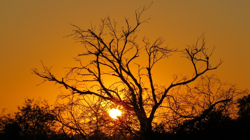 IMG_2335 (800x449).jpg