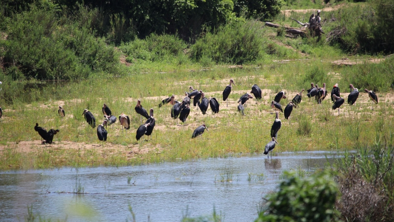 IMG_3315 (800x450).jpg