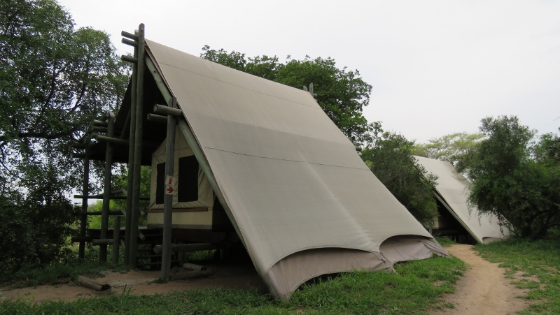 IMG_2489 (800x451).jpg