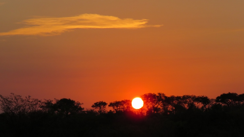 IMG_2636 (800x449).jpg