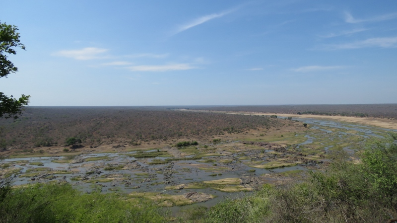 IMG_2931 (800x449).jpg