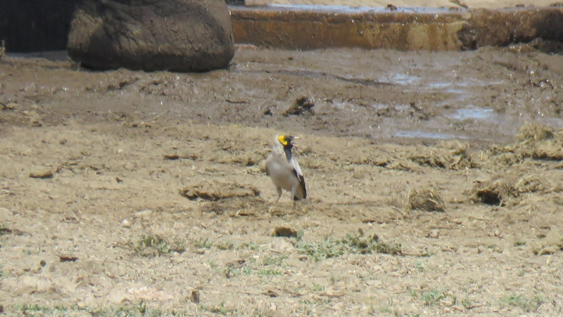 IMG_3028 (800x451).jpg