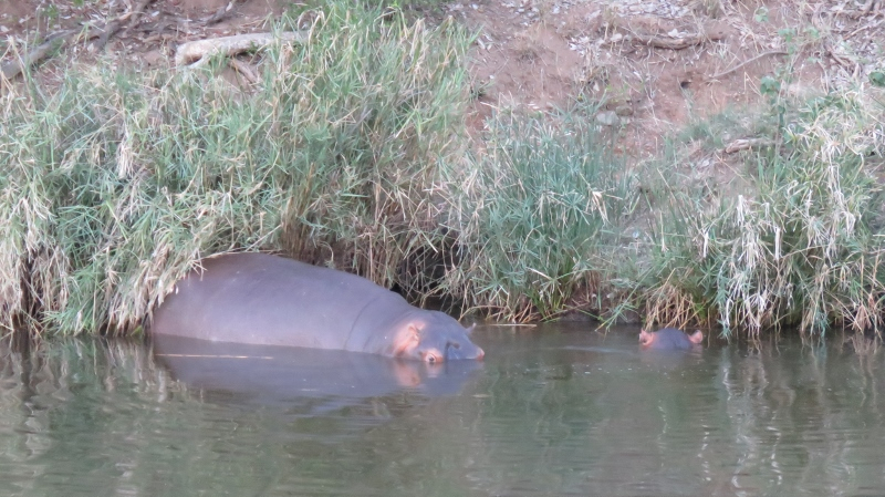 IMG_3043 (800x449).jpg