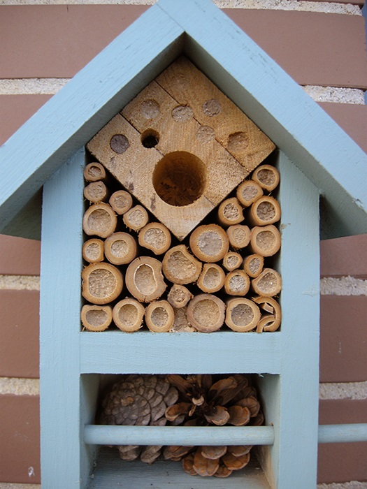 Hotel completo 2.jpg