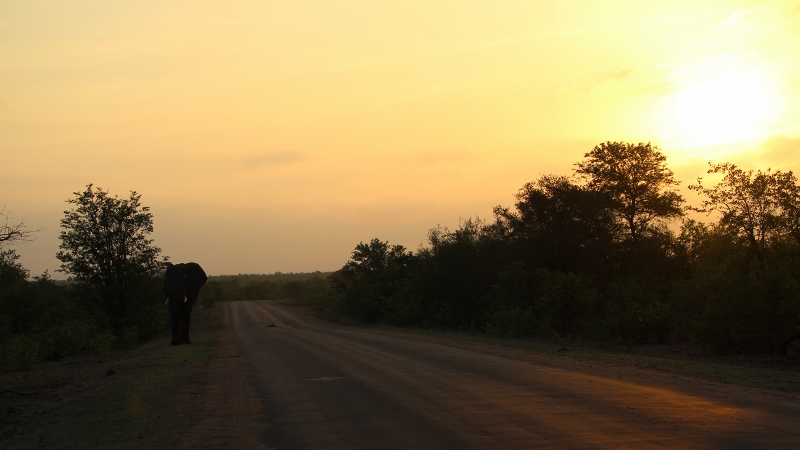 IMG_3655 (800x450).jpg