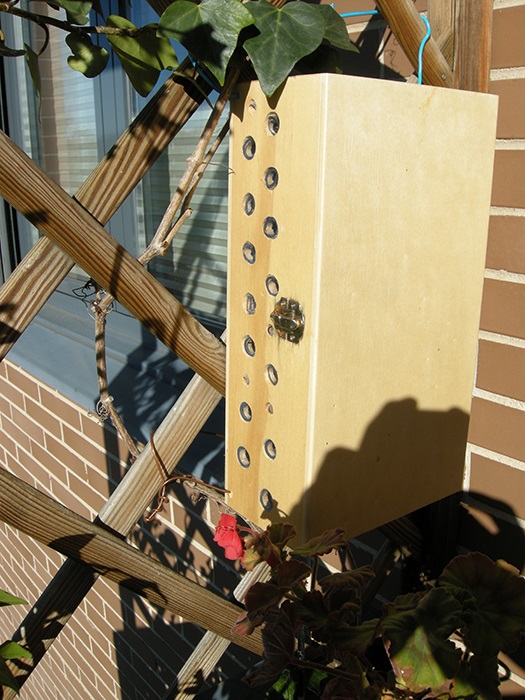 Caja abejas casera_.jpg