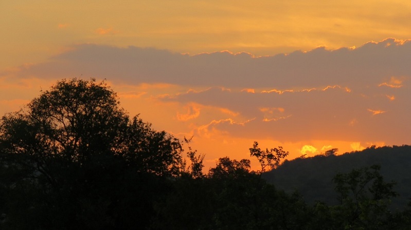 IMG_3197 (800x449).jpg