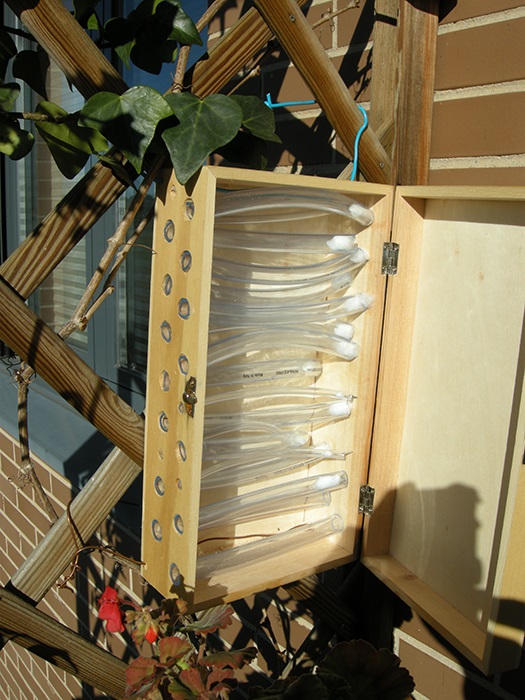 Caja abejas casera 2.jpg