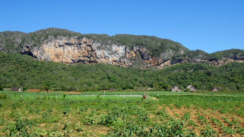 IMG_9683 (800x450).jpg