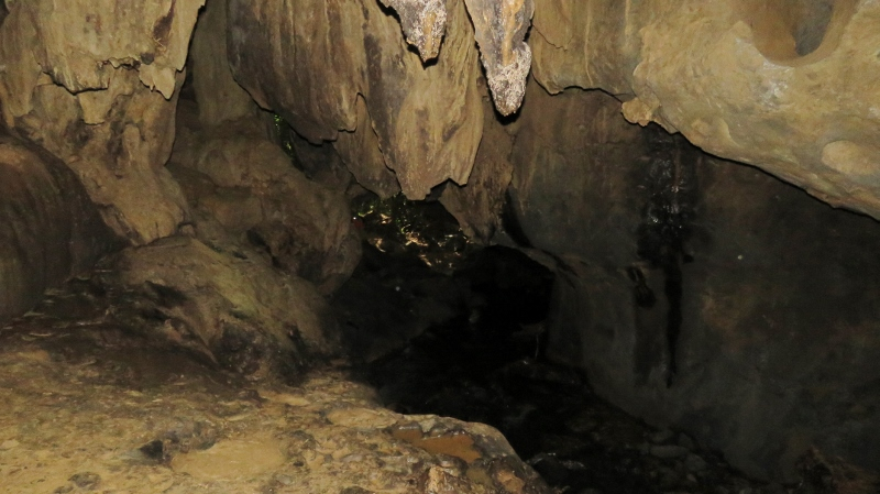 IMG_9686 (800x449).jpg