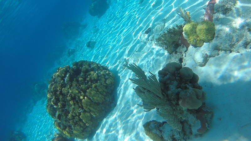 FILE0229 (800x450).jpg