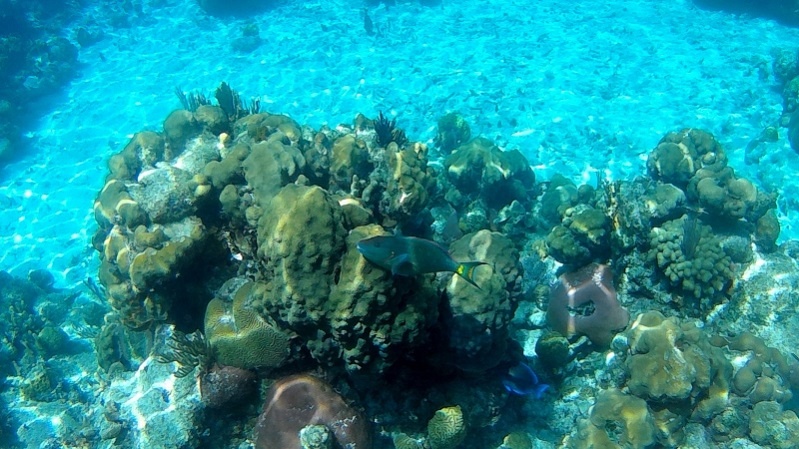 FILE0289 (800x450).jpg