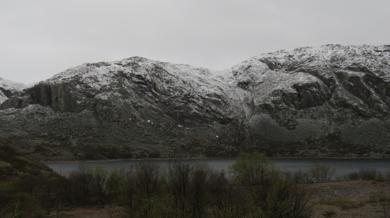 IMG_0690 (800x447).jpg