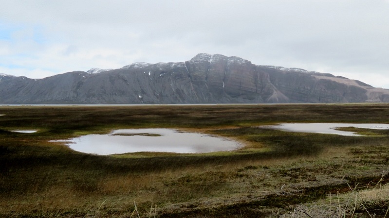 IMG_0723 (800x450).jpg