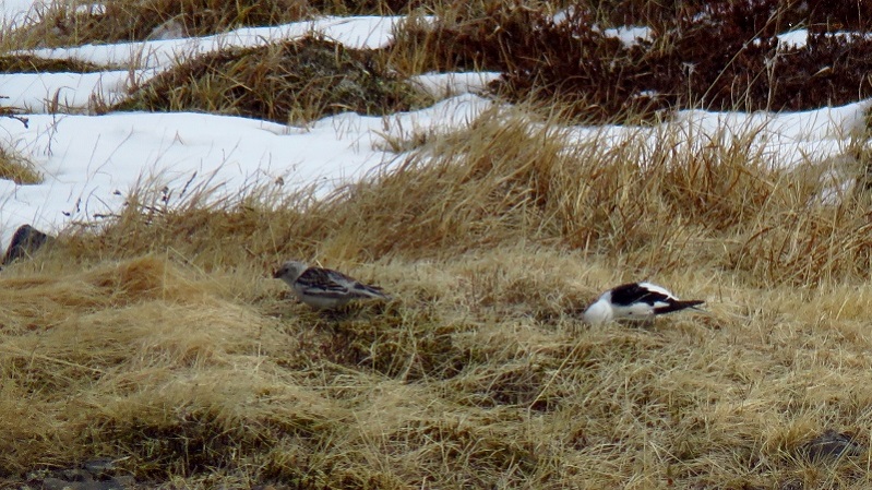 IMG_0844 (800x450).jpg