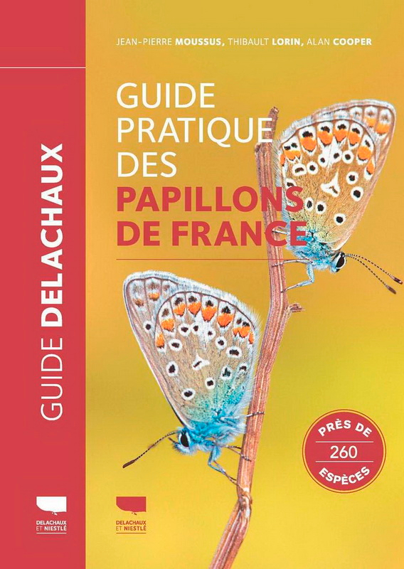 papillons de france.jpg