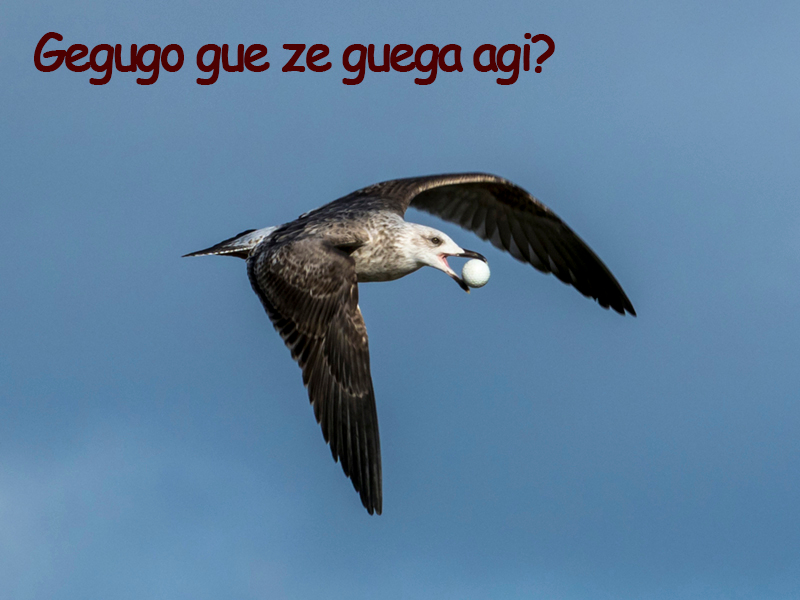 PC295479_cda.jpg