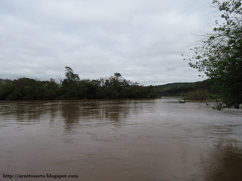 Riu Uruguai IMG_0377.jpg