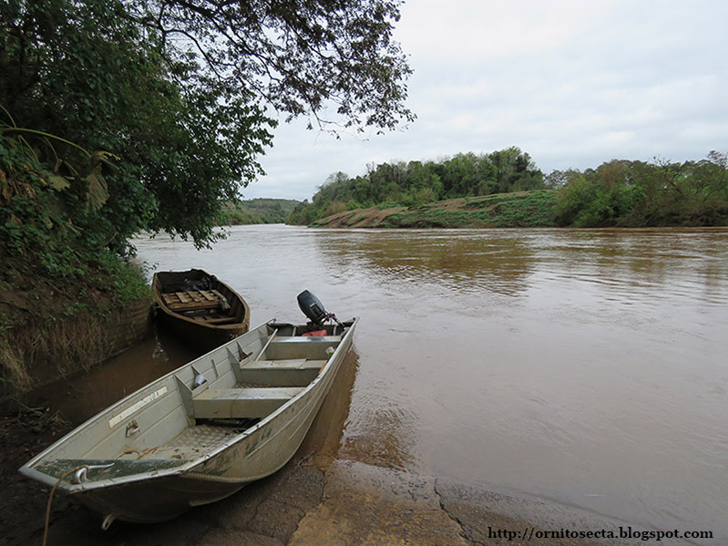 Riu Uruguai IMG_0378.jpg