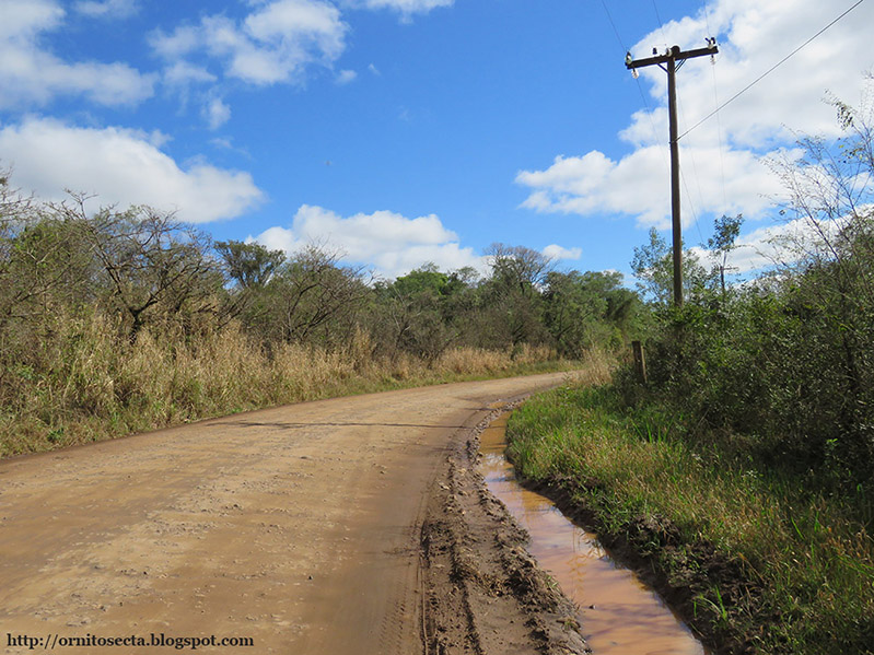 Crissiumal IMG_0430.jpg