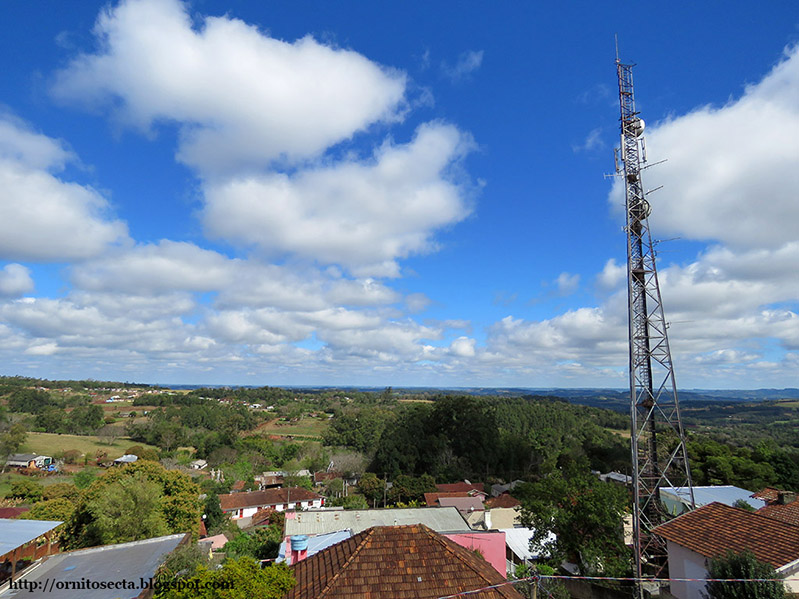 Crissiumal IMG_0401.jpg