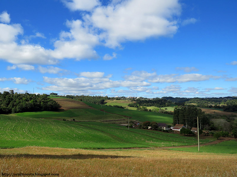 Crissiumal IMG_0438.jpg