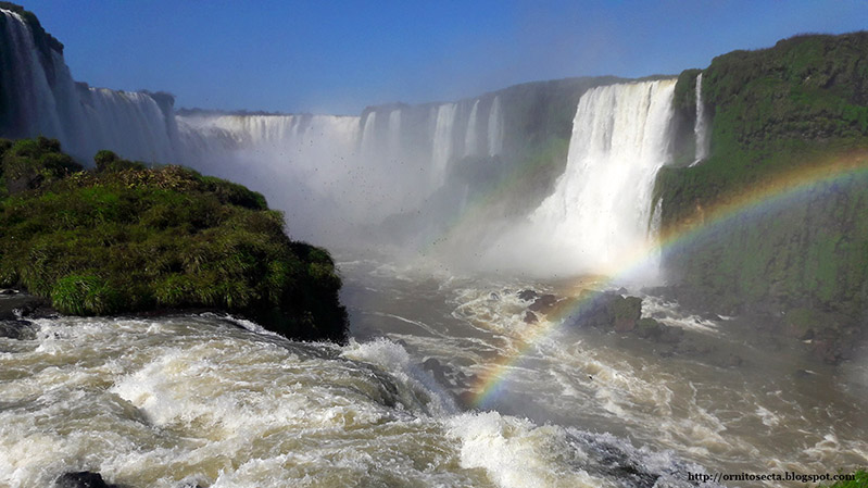 2017-08-17 10.31.48.jpg